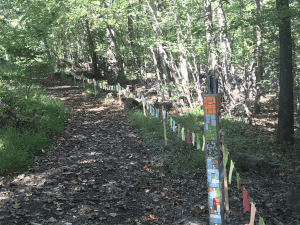 Wooded trail with mosaic pillar and colorful flags strung along a line